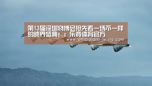 乐竟APP